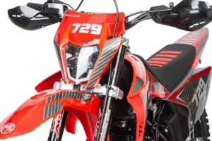 Мотоцикл кроссовый Sport 300 R (175FMM)