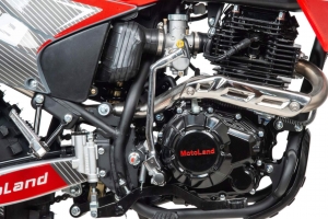 Мотоцикл кроссовый Sport 300 R (175FMM)