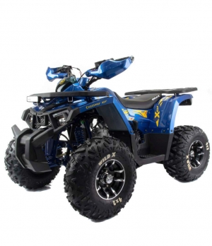 Квадроцикл Motoland 125 WILD X