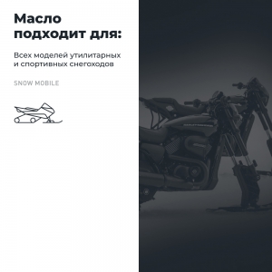 LAVR MOTO Моторное масло GT SNOW 2Т (1 л)