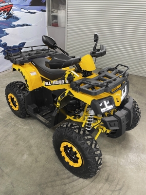 Квадроцикл Motoland 200 ALL ROAD X (комплект запчастей) (баланс. вал)