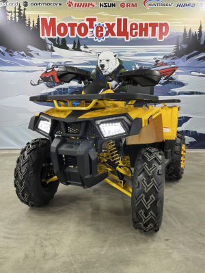 Квадроцикл Motoland 200 WILD TRACK X  (баланс. вал)