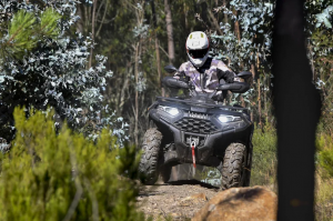 Квадроцикл Loncin XWolf 550L Черный 2026