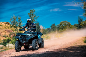 Квадроцикл Loncin XWolf 700L Оранжевый