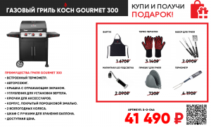 ГРИЛЬ ГАЗОВЫЙ KOCH Gourment 300