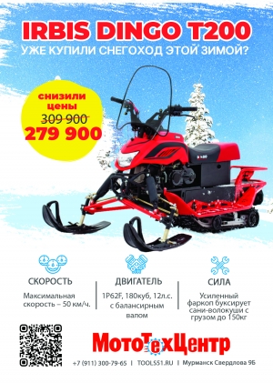 СНЕГОХОД IRBIS DINGO T200