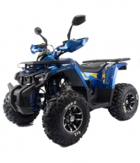 Квадроцикл Motoland 125 WILD X PRO