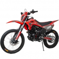 Мотоцикл кроссовый Sport 300 R (175FMM)