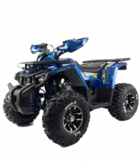 Квадроцикл Motoland 125 WILD X