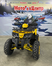 Квадроцикл Motoland 200 ALL ROAD X (комплект запчастей) (баланс. вал)