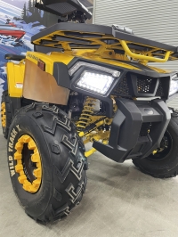 Квадроцикл Motoland 200 WILD TRACK X  (баланс. вал)