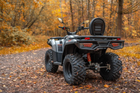 Квадроцикл Loncin XWolf 300 Max