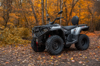 Квадроцикл Loncin XWolf 300 Max