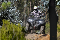 Квадроцикл Loncin XWolf 550L Черный 2026