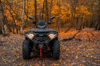 Квадроцикл Loncin XWolf 300 Max