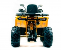 Квадроцикл Motoland 200 WILD TRACK X PRO (баланс. вал)