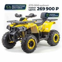 Комплект запчастей для квадроцикла Motoland 200 WILD TRACK X  (баланс. вал)