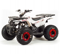 Квадроцикл Motoland 125 WILD