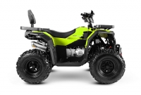 Квадроцикл Progasi RaceJumper MaxPower 200 Forest green (Комплект з/ч)