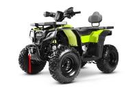 Квадроцикл Progasi RaceJumper MaxPower 200 Forest green (Комплект з/ч)