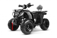 Квадроцикл Progasi RaceJumper 200 Black satin (Комплект з/ч)