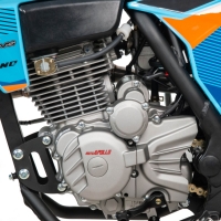Мотоцикл кроссовый Moto Apollo F3 300 (175FMM)