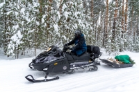 Снегоход Тайга Patrul 800 SWT