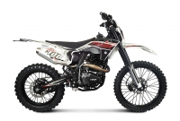 Мотоцикл Эндуро TMBK ENVY 300 PRO (PR300) White/Red (175FMN)