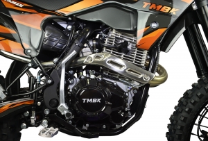 Мотоцикл Эндуро TMBK ENVY 300 (CB300)